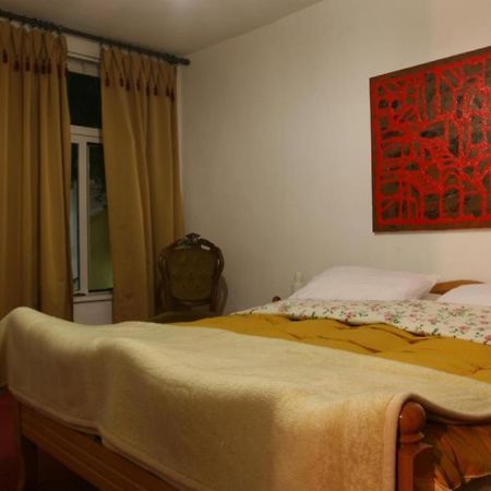 Guesthouse Pension Andrea Tirana Zewnętrze zdjęcie
